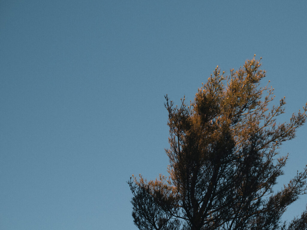 西巒大山 10
