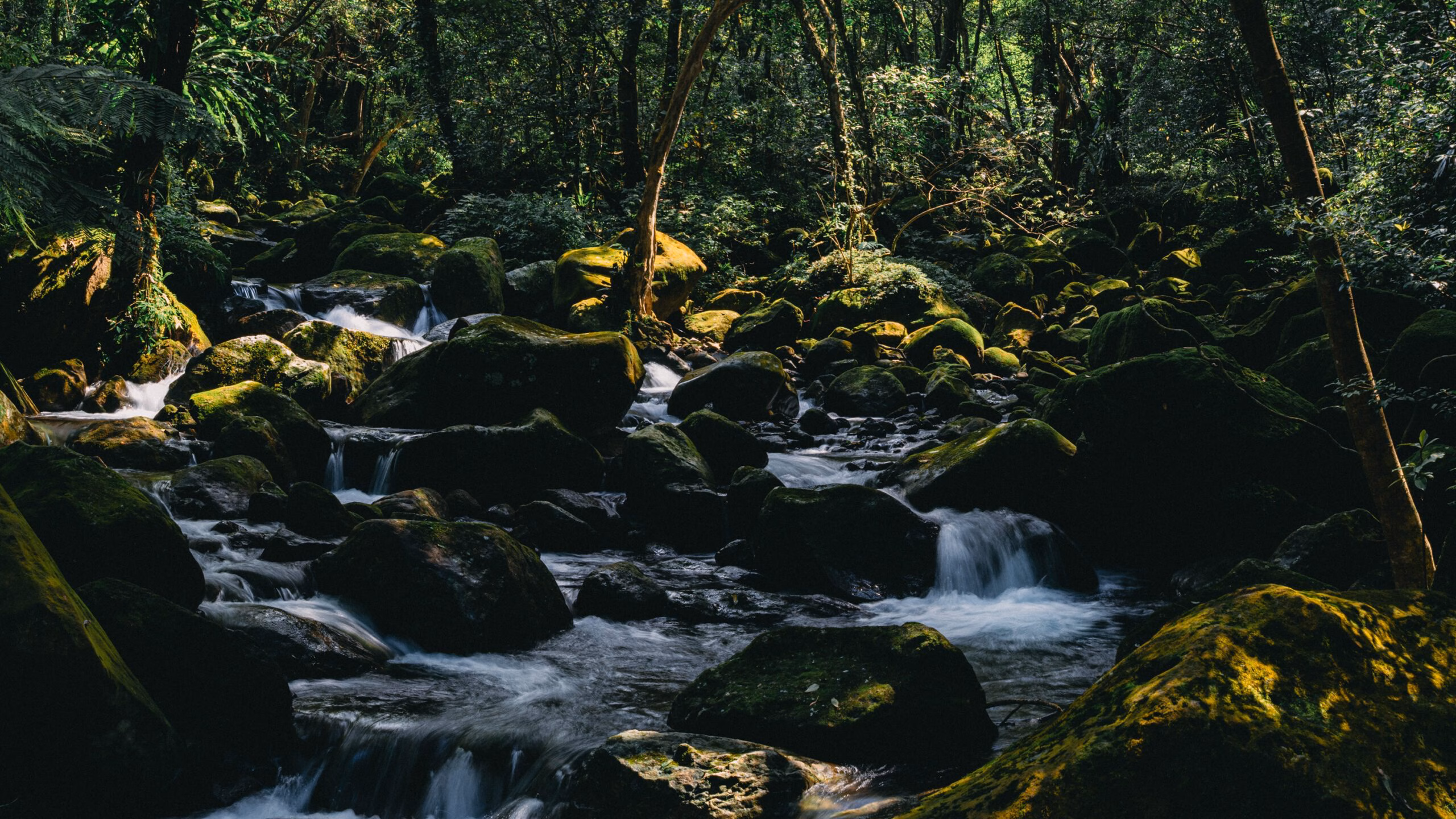 山岳 01