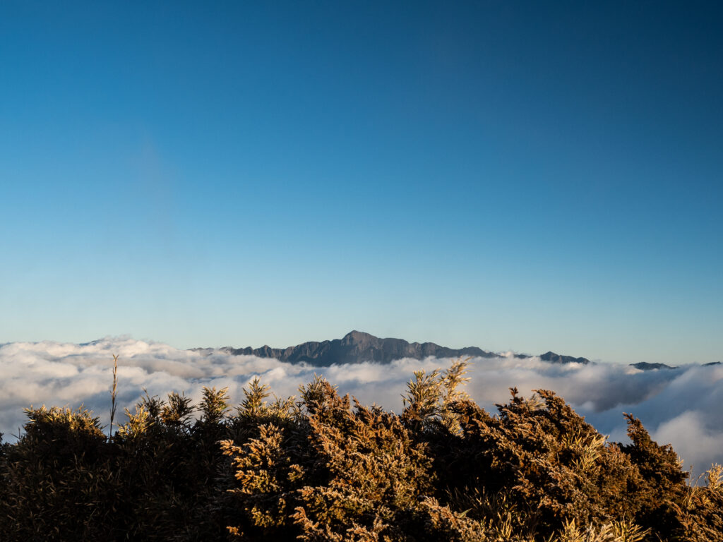 合歡山 06