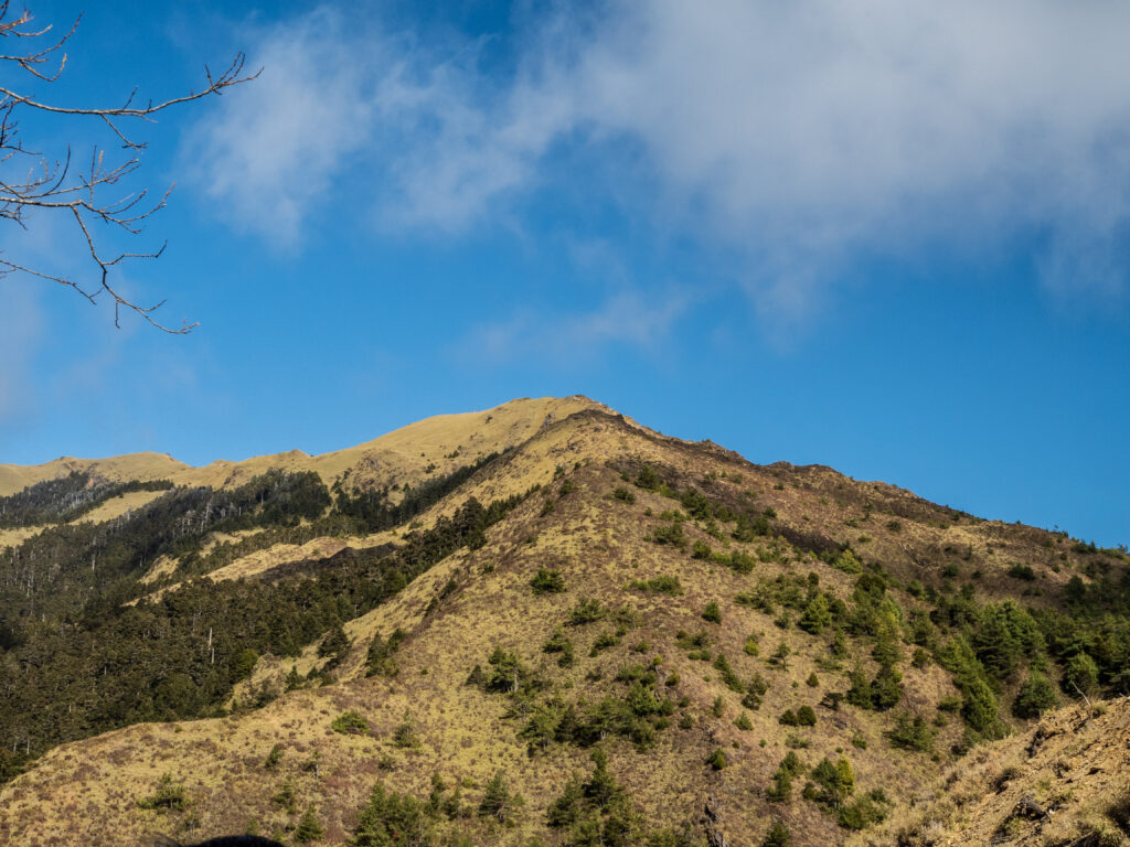 合歡山 08