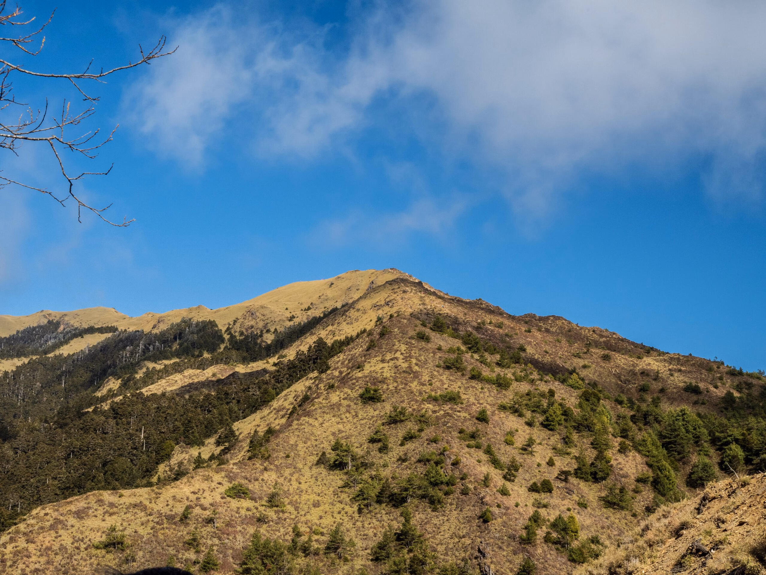 合歡山 08