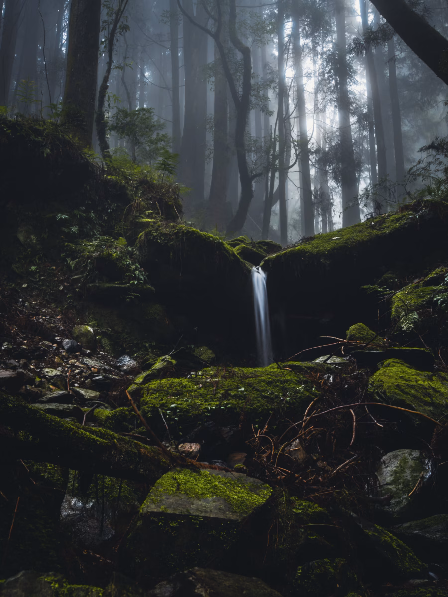 瀑布與層層苔蘚覆蓋的岩石