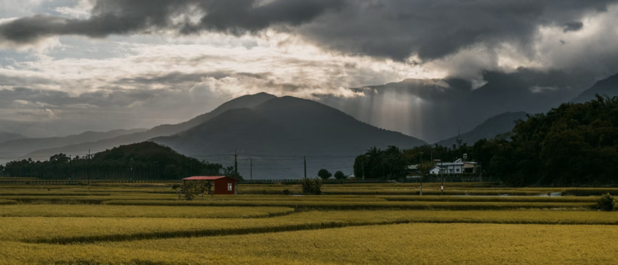 積雨雲籠罩遠山，前景是收割前的稻田與紅頂農舍