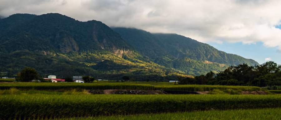 山嵐停在山腰，前景是綠色稻田與農舍