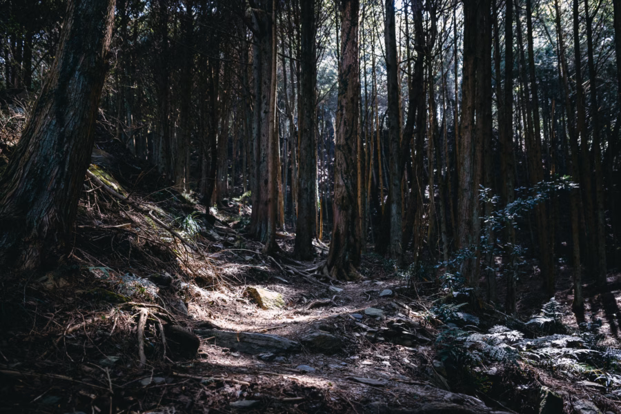 南湖大山 01