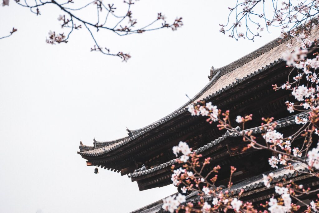 櫻花枝旁的寺院屋頂，背景是白色天空