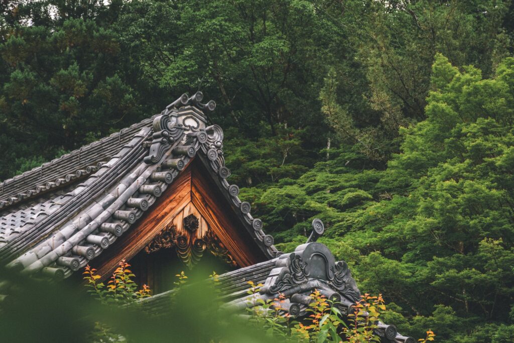 南禪寺的屋頂山牆被初夏的濃綠樹林包住