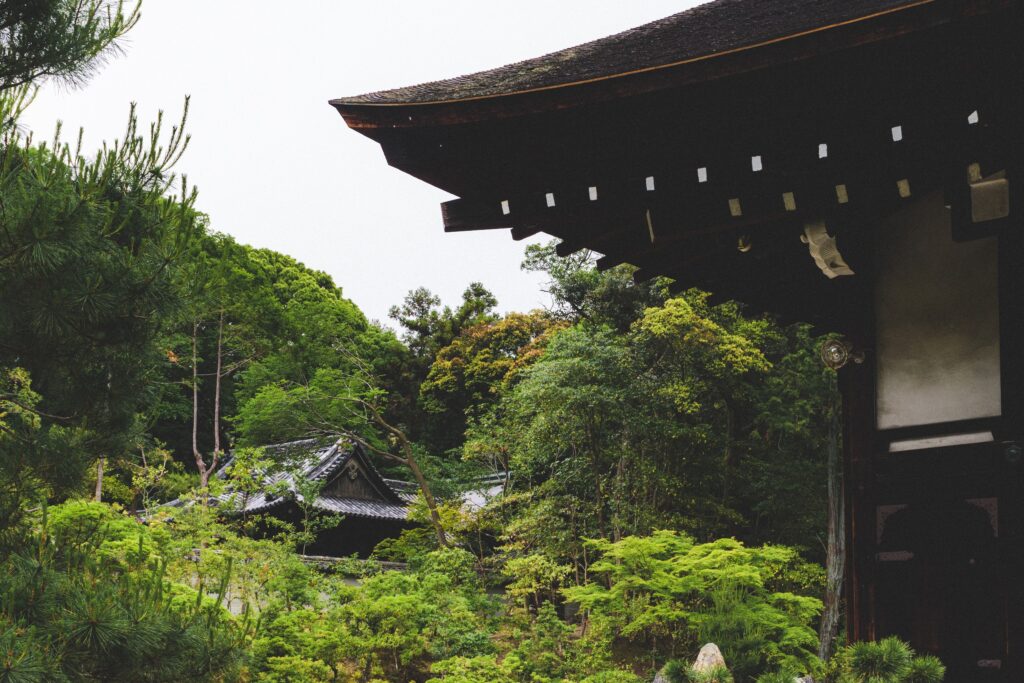 天授庵的深色屋簷伸進庭院，遠處另一座屋頂藏在樹間