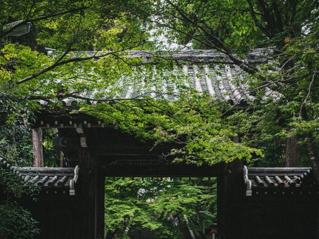 長滿苔蘚與綠葉的山門屋頂