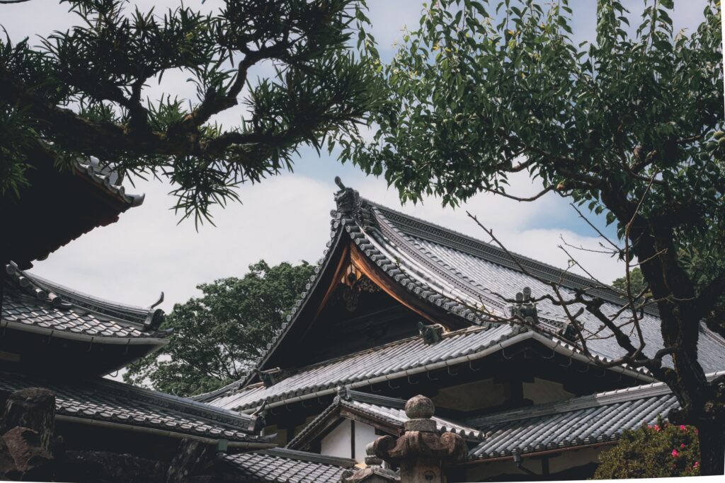 松枝之間露出的多重寺院屋頂